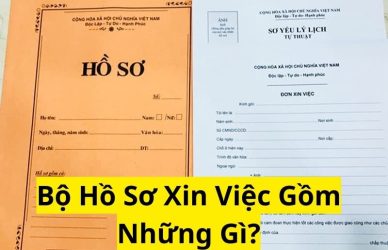 Bộ Hồ Sơ Xin Việc Gồm Những Gì?